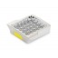 Novae - Yellow LED Bulb
