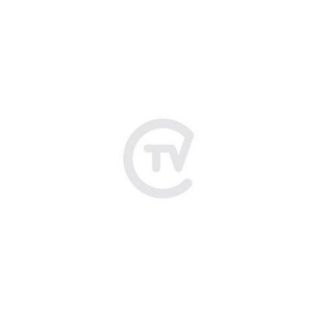 مكنسة تنظيف السجاد الرطب والجاف SE4001 3 في 1